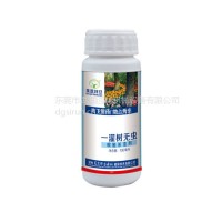 坪安一灌树无虫杀虫剂高效广谱园林植物根施杀虫剂100ml