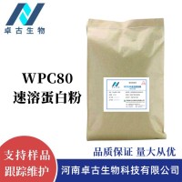 食品级WPC80速溶乳清蛋白粉 应用健身运动员营养强化剂