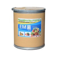 EM菌 枯草芽孢杆菌 调理土壤板结促进作物毛细根生长水产养殖