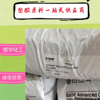 汽车的发动机罩下的零件PA6 德国巴斯夫 B3WG6